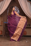 Kashi ~ Handloom Pure Silk Jamdhani Saree in Purple and Gold