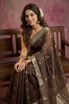 Chandani Chanderi ~ Handwoven Pure Silk Chanderi Saree In Taupe Brown - Govt. Silk Mark Certified