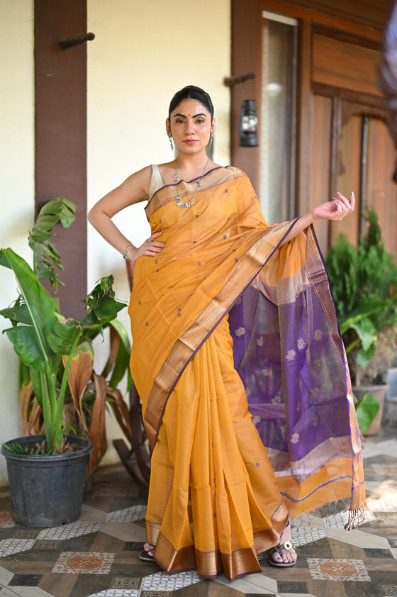 Tarang ~ Handloom Tissue Cotton Silk Sleek Designer Border in Mustard Yellow with Purple