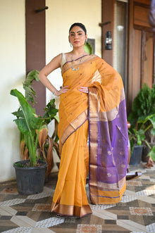  Tarang ~ Handloom Tissue Cotton Silk Sleek Designer Border in Mustard Yellow with Purple