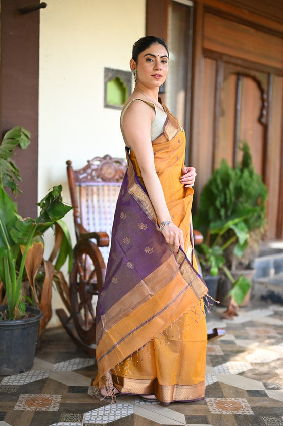 Tarang ~ Handloom Tissue Cotton Silk Sleek Designer Border in Mustard Yellow with Purple