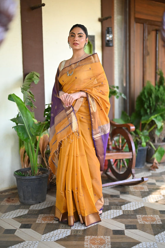 Tarang ~ Handloom Tissue Cotton Silk Sleek Designer Border in Mustard Yellow with Purple