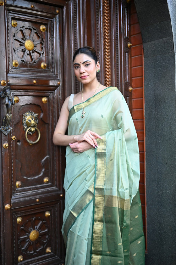 Tarang ~ Handloom Cotton Silk Sleek Designer Border in Mint Green