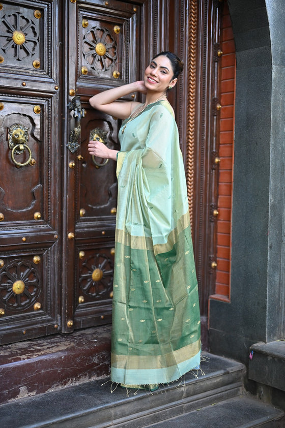 Tarang ~ Handloom Cotton Silk Sleek Designer Border in Mint Green