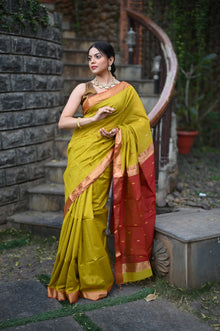  Tarang ~ Handloom Cotton Silk Sleek Designer Border in Olive Yellow