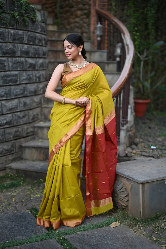 Tarang ~ Handloom Cotton Silk Sleek Designer Border in Olive Yellow