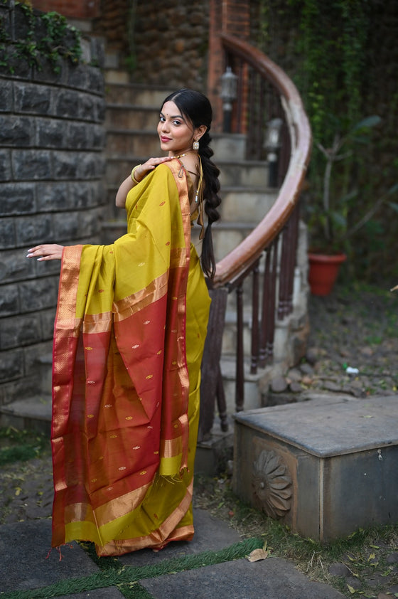 Tarang ~ Handloom Cotton Silk Sleek Designer Border in Olive Yellow