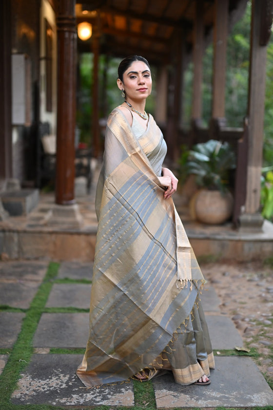 Tarang ~ Handloom Tissue Cotton Silk Sleek Designer Border in Gold Grey