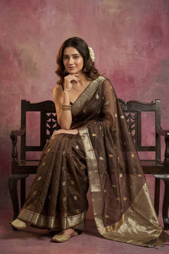 Chandani Chanderi ~ Handwoven Pure Silk Chanderi Saree In Taupe Brown - Govt. Silk Mark Certified - verymuchindian.com