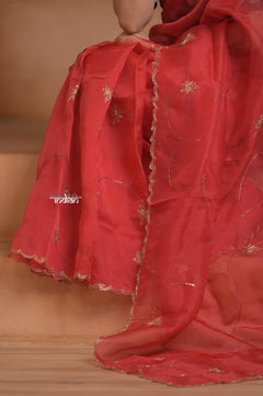Festive Edit! Ganga Ghat ~ Handloom Organza Silk Saree with Hand Embroidered in Red - verymuchindian.com