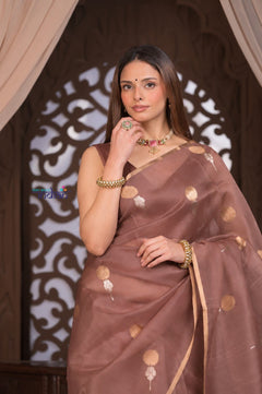 Kashi ~ Handloom Pure Silk Jamdhani Saree in Slaked Brown and Gold - verymuchindian.com