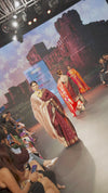Swarajya ~ Times Fashion Week Exclusive ~ Handloom Pure Silk Paithani with Unique Elephant Pallu in Rich Maroon