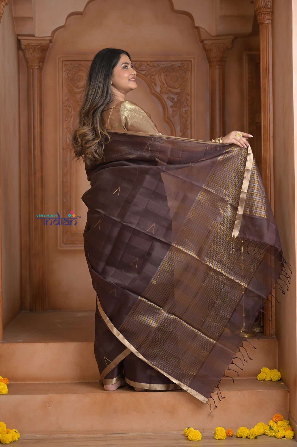 Shubh Lakshmi ~ Handloom Cotton Silk Saree in Dark Brown and Gold