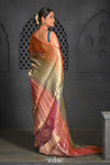 Virasat ~ Exclusive! Handloom Pure Banarasi Tissue Silk Saree ~ Multicolor - verymuchindian.com