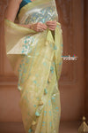 Festive Edit! Ganga Ghat ~ Handloom Pure Kora Silk Saree in Pistachio Gold ( Silk Mark Certified )