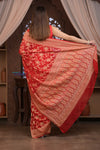 Kashi ~ Handloom Banarasi Khaddi Georgette Silk Jaal Saree in Red (Silk Mark Certified)
